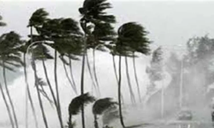 مركز المناخ: انخفاض حاد في الحرارة اليوم وأمطار رعدية على السواحل الشمالية