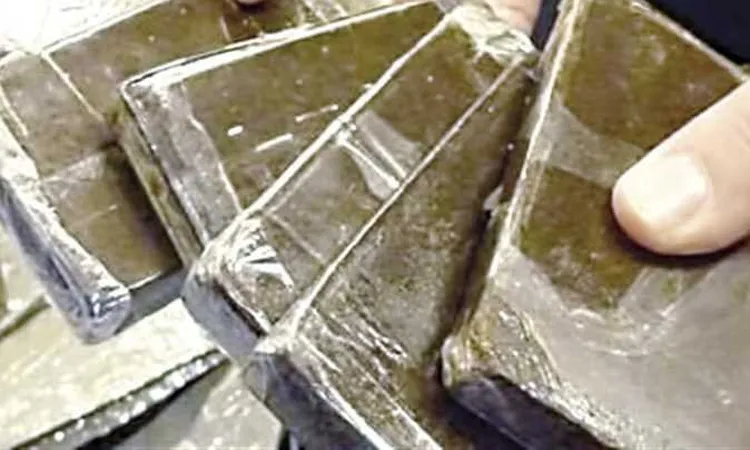 بعد طن “المعلمة”.. ضبط 6 أفراد من شركائها بـ 14 كيلو جرام من الحشيش