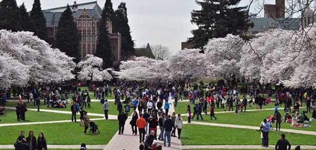 فتح باب الترشح لبرنامج دراسة المعاهد الأمريكية لأساتذة التعليم الثانوي