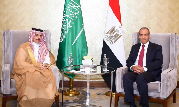 وزيرا خارجية مصر والسعودية يؤكدان أهمية وقف إطلاق النار في غزة
