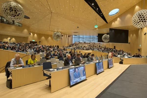 ماذا يعني انتخاب الجزائر نائبًا لرئيس اللجنة الدائمة لحقوق المؤلف والحقوق المجاورة؟