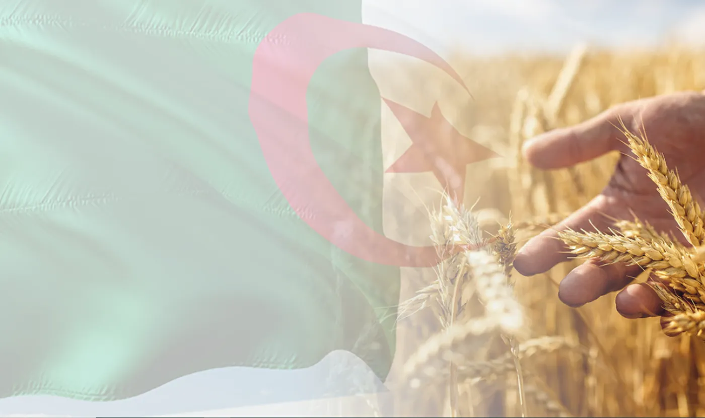 الجزائر تغطي أكثر من 75% من احتياجاتها الغذائية وتطلق مشاريع زراعية كبرى