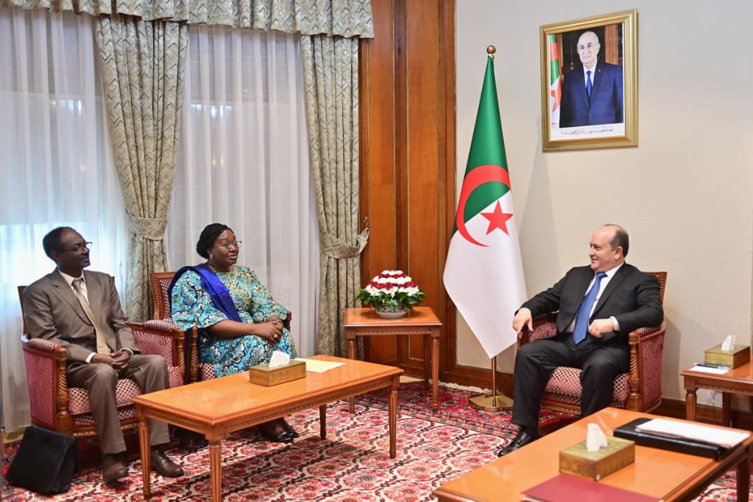 رسالة خطية من الرئيس التشادي الى الرئيس تبون 