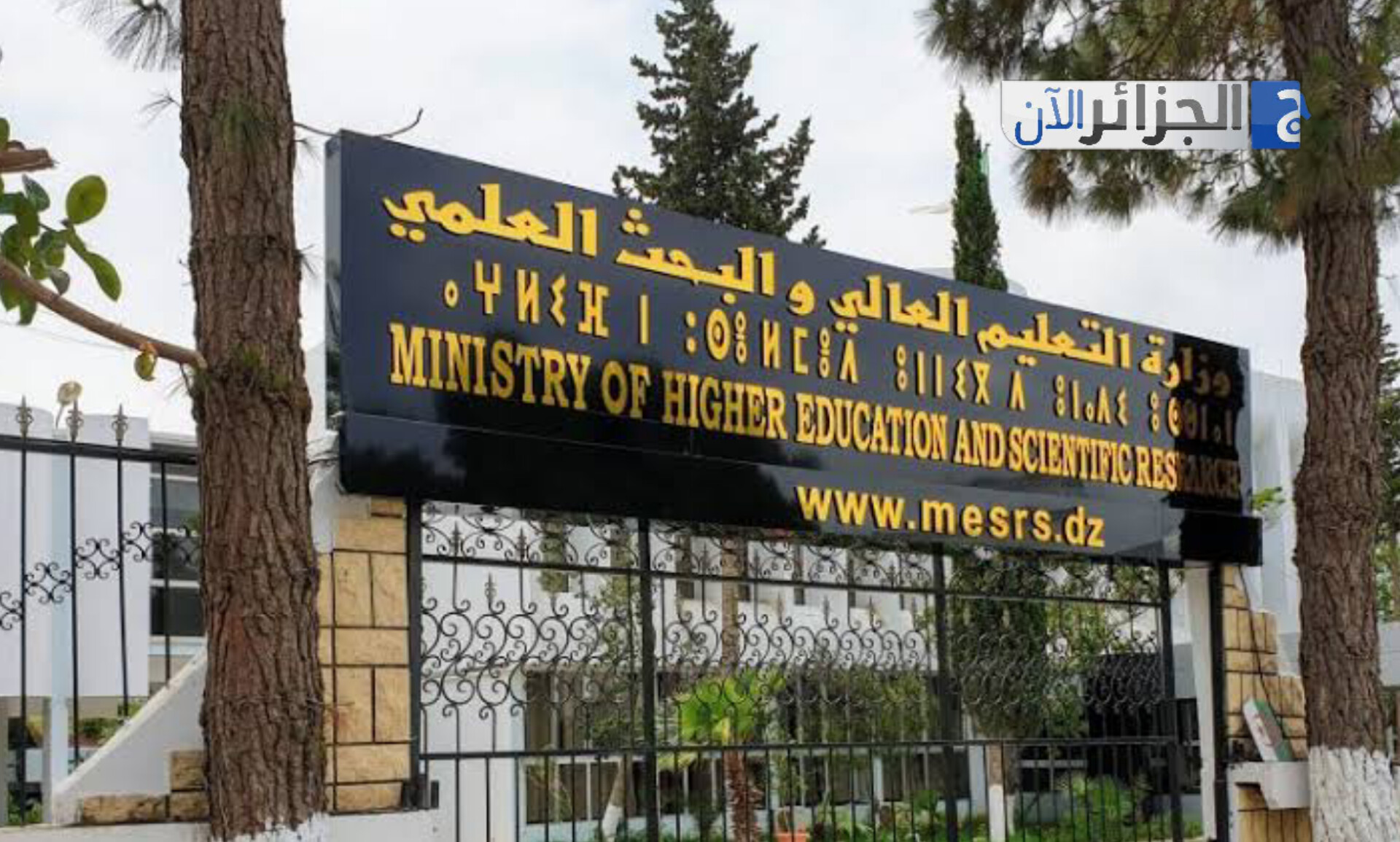 إفتتاح الترقية الجامعية لدرجة بروفيسور